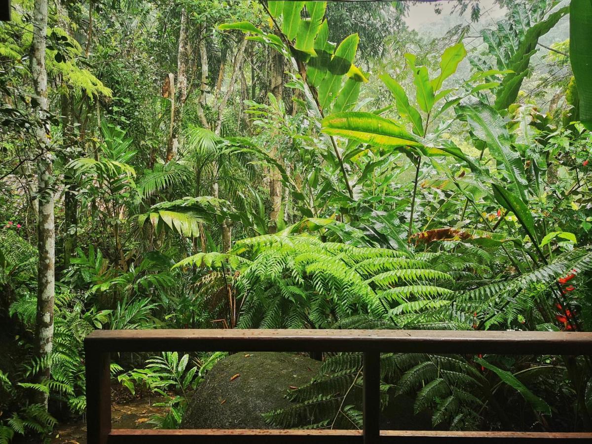 Trindade Sea And Forest Yoga Hostel Exterior photo