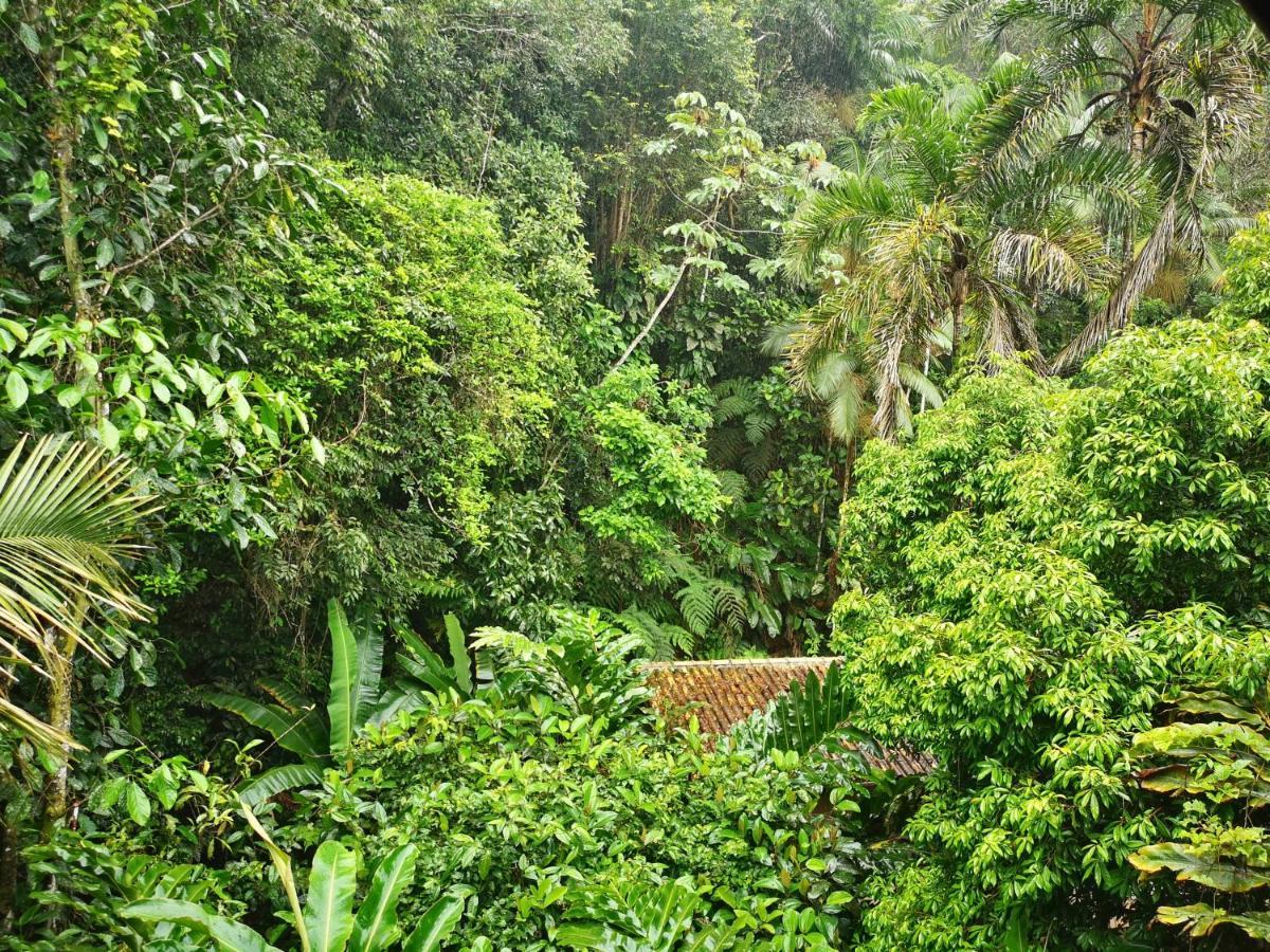 Trindade Sea And Forest Yoga Hostel Exterior photo