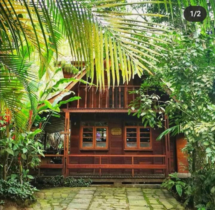 Trindade Sea And Forest Yoga Hostel Exterior photo