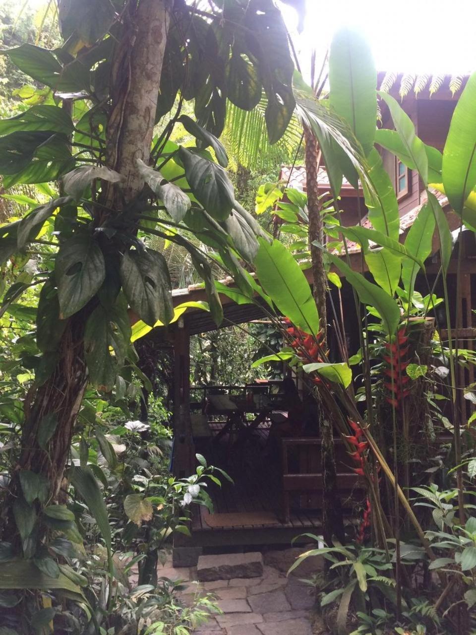 Trindade Sea And Forest Yoga Hostel Exterior photo