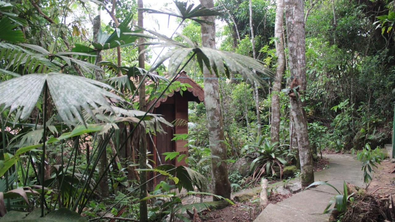 Trindade Sea And Forest Yoga Hostel Exterior photo